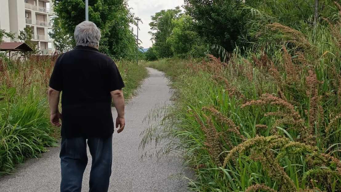 I palazzi in una ‘giungla’. I residenti del Gello Living: "Erba alta, rifugio di sbandati"