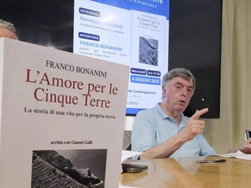 immagine articolo