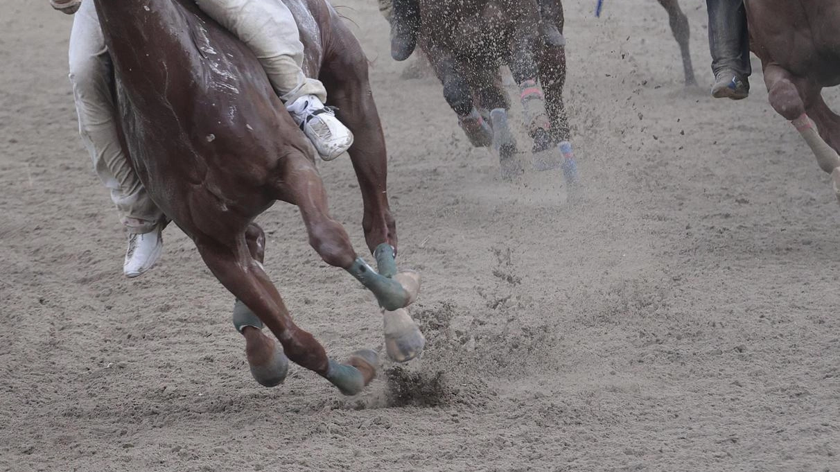 Via alla grande kermesse a Pian delle Fornaci sabato primo marzo però mancheranno all’appello i cavalli. che non hanno ancora compiuto 4 anni Via alla grande kermesse a Pian delle Fornaci sabato primo marzo però mancheranno all’appello i cavalli. che non hanno ancora compiuto 4 anni
