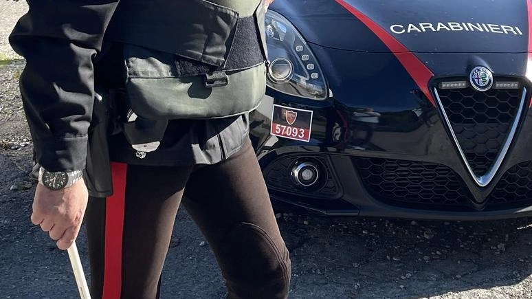 L’uomo è stato denunciato ai carabinieri L’uomo è stato denunciato ai carabinieri