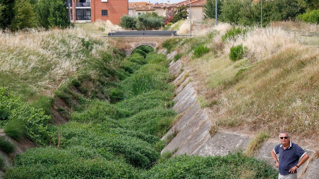 Tappeto verde sull’alveo della Gora Acqualunga, il Consorzio rassicura: "Nessun rischio, ma interverremo" Tappeto verde sull’alveo della Gora Acqualunga, il Consorzio rassicura: "Nessun rischio, ma interverremo"