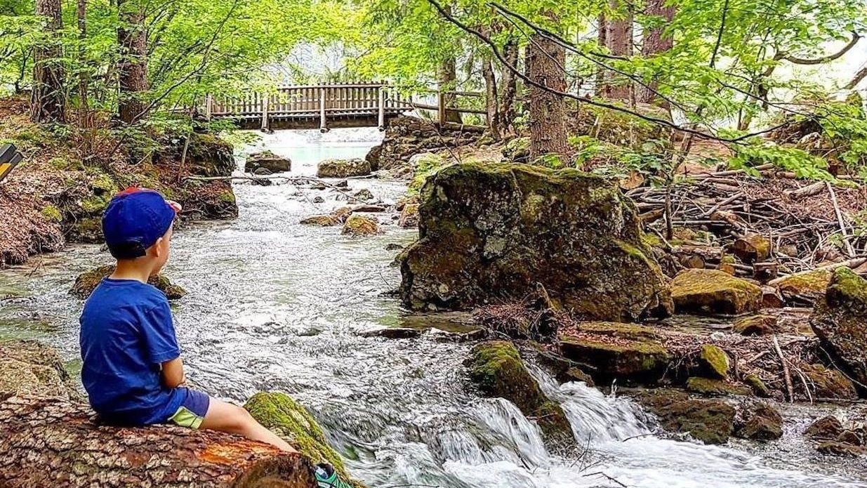 Studenti casentinesi coinvolti nel progetto di tutela dell’ambiente e in particolare della risorsa dell’acqua. Ai giovani è stato fatto vedere...