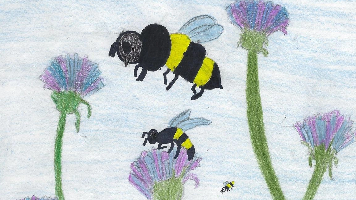 Le api svolgono molte attività oltre alla produzione di miele, come la mummificazione di insetti nemici con la propoli. Organizzate in alveari, le api operaie lavorano instancabilmente per la regina, attratte dai suoi feromoni. I fuchi si riproducono con la regina dopo una danza, ma poi muoiono.