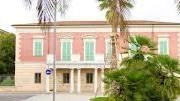 Il Gruppo Fotografico Versiliese ha organizzato per sabato una mostra dedicata a due autori di due diverse generazioni, ma accomunati... Il Gruppo Fotografico Versiliese ha organizzato per sabato una mostra dedicata a due autori di due diverse generazioni, ma accomunati...