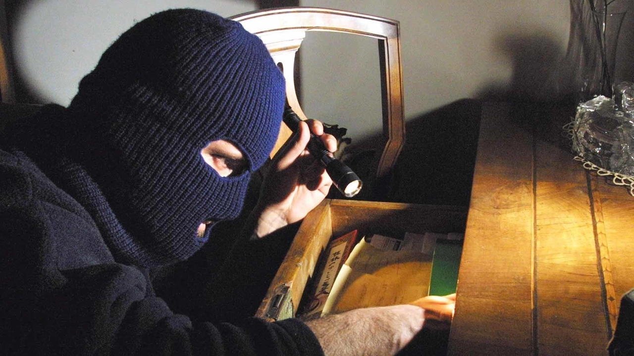 Senza scrupoli. le bande di ladri che da settimane stanno setacciando. le case della nostra provincia (foto archivio) Senza scrupoli. le bande di ladri che da settimane stanno setacciando. le case della nostra provincia (foto archivio)