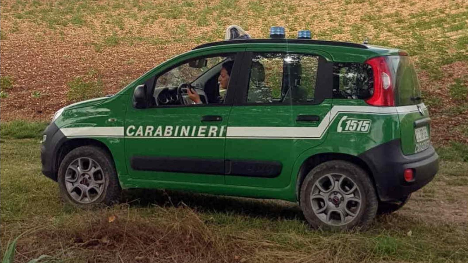 Armi e trappole illegali, denunciati due cacciatori con l’accusa di bracconaggio Armi e trappole illegali, denunciati due cacciatori con l’accusa di bracconaggio