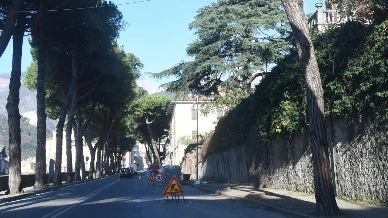La sindaca Arrighi ha annunciato un patto di collaborazione con i residenti per la manutenzione di parchi e giardini. "La scelta della collettività è un punto del nostro programma di governo".