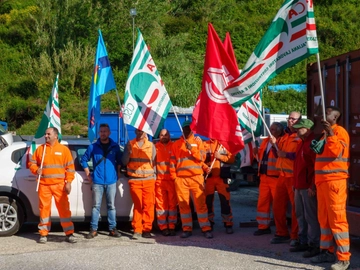 immagine articolo