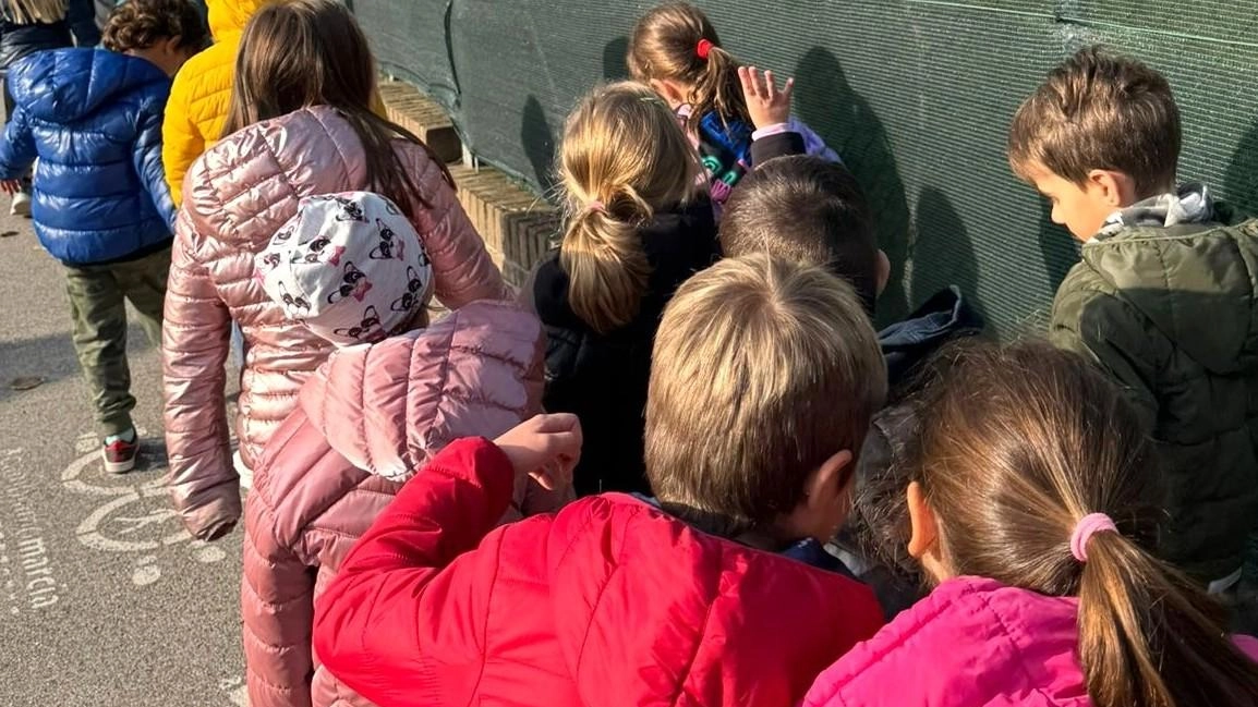 "I problemi ci sono ma con la nuova dirigente si lavora per le soluzioni" "I problemi ci sono ma con la nuova dirigente si lavora per le soluzioni"
