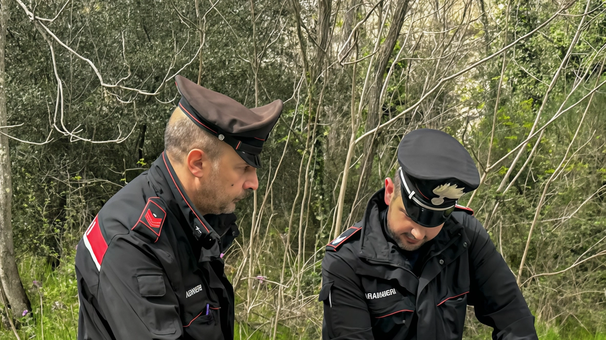 Le segnalazioni di auto sospette con a bordo più soggetti sono state diverse nelle ultime settimane e riguardano più quartieri della città: per questo carabinieri e polizia municipale hanno avviato indagini sinergiche Le segnalazioni di auto sospette con a bordo più soggetti sono state diverse nelle ultime settimane e riguardano più quartieri della città: per questo carabinieri e polizia municipale hanno avviato indagini sinergiche