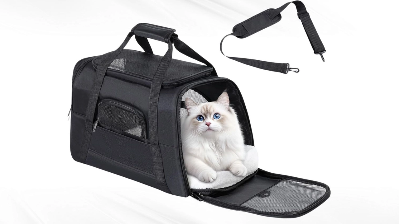 Borsa trasportino pieghevole