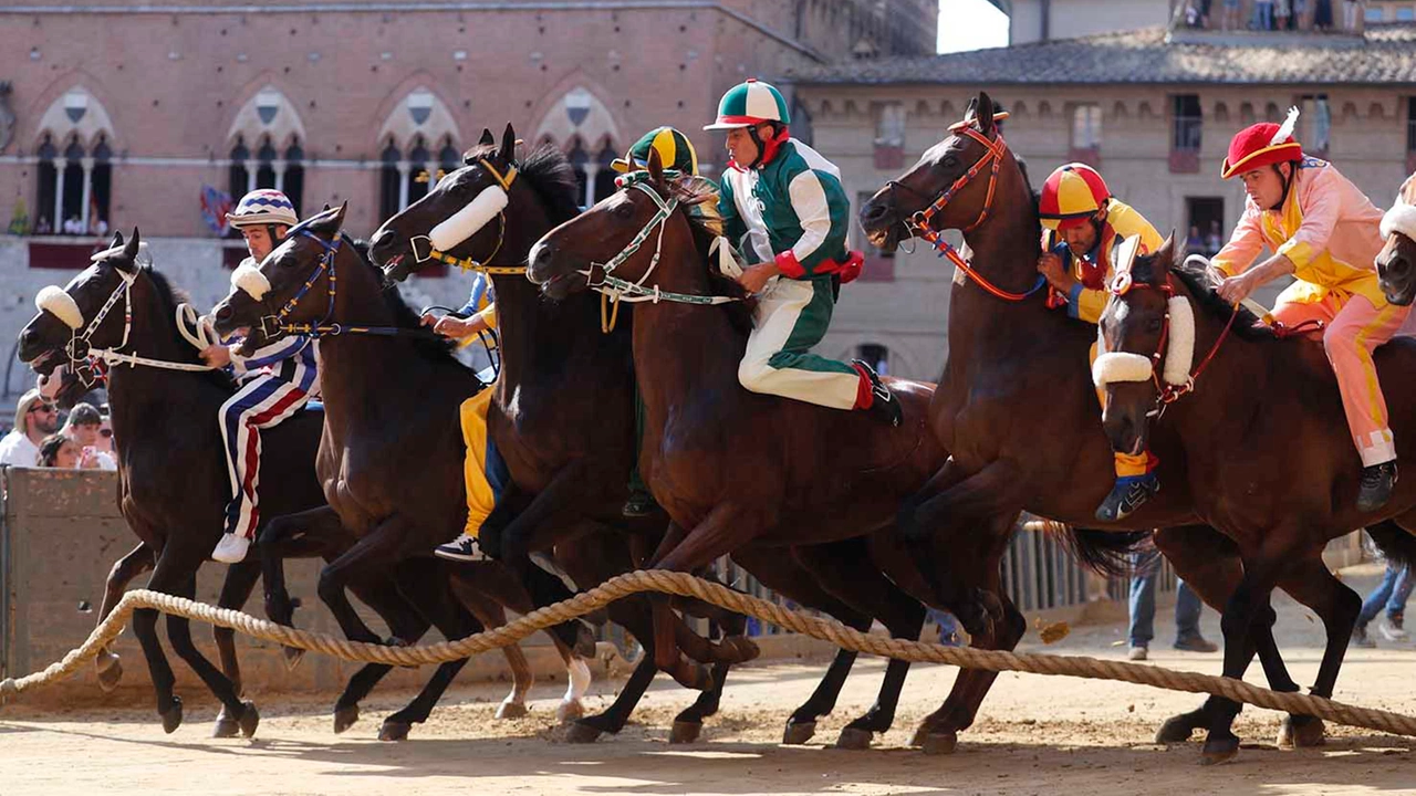 Palio, la Selva vince la Provaccia: tutto pronto per la Carriera
