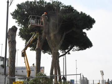 immagine articolo