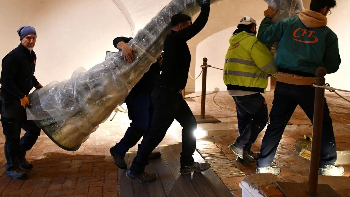 Due momenti dell’allestimento della nuova mostra che durerà un anno preciso al Museo di Storia Naturale di Calci Due momenti dell’allestimento della nuova mostra che durerà un anno preciso al Museo di Storia Naturale di Calci