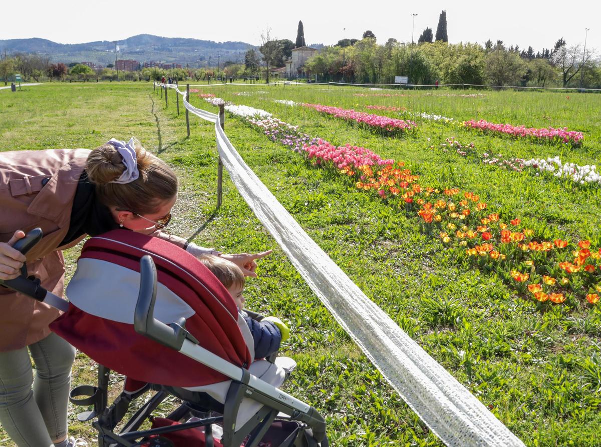 Parco urbano nell’ex Cnr. Riflessione pubblica per un futuro green Parco urbano nell’ex Cnr. Riflessione pubblica per un futuro green