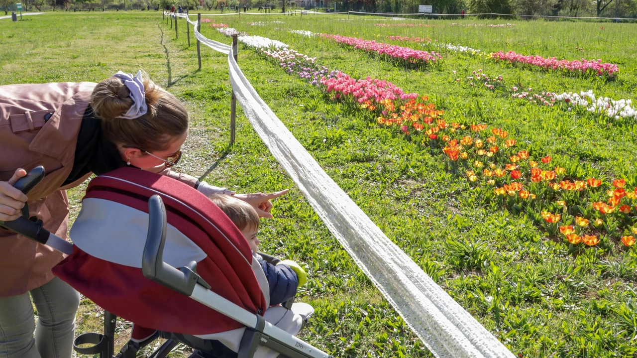 L’obiettivo è recuperare dodici ettari dell’area del Castello dell’Acciaiolo per creare un’area verde dedicata alla biodiversità, alla ricerca, alla formazione. e alla fruizione pubblica