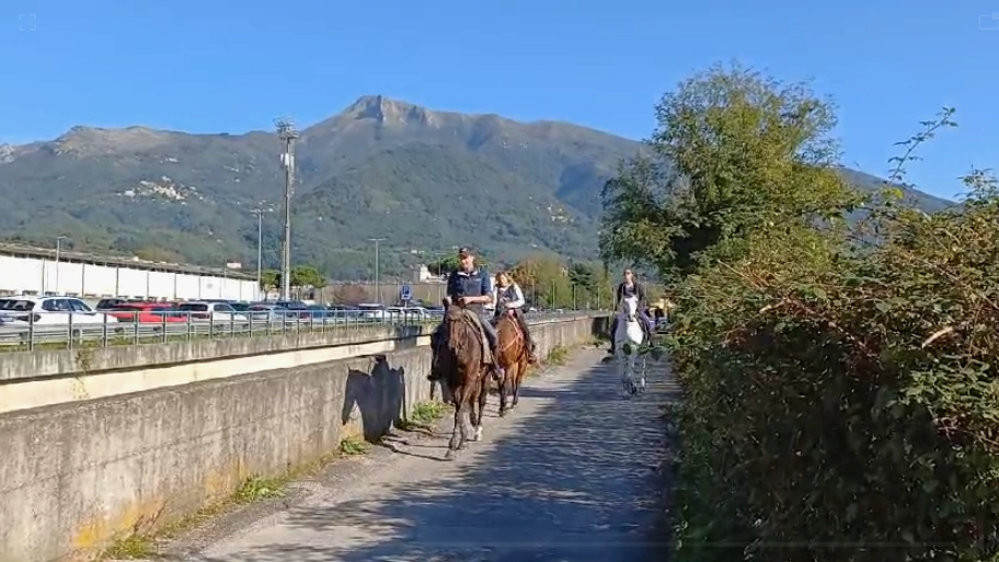 Fiera di Ognissanti da record a Camaiore, fiume di gente in centro. Per evitare la fila c’è chi va… a cavallo