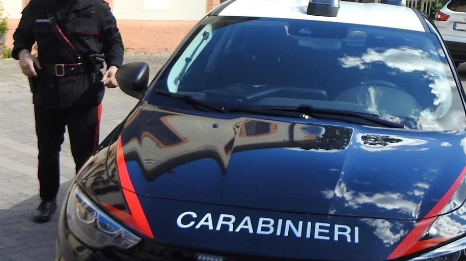 I carabinieri al lavoro sul territorio I carabinieri al lavoro sul territorio
