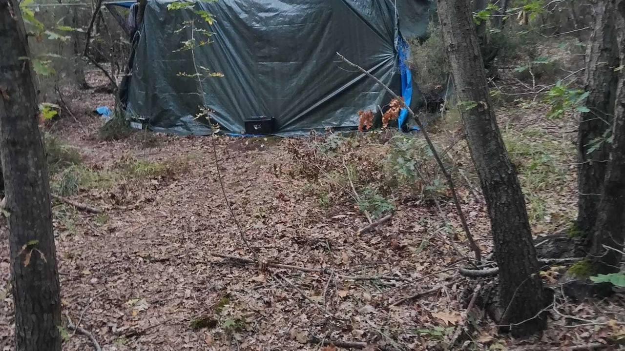 Le Cerbaie a Fucecchio restano un problema di droga nonostante gli sforzi delle forze dell'ordine. Il comitato per la sicurezza continua la sensibilizzazione sui social, mentre le autorità hanno smantellato un bivacco. I carabinieri hanno sequestrato hashish e indagini sono in corso. Le Cerbaie a Fucecchio restano un problema di droga nonostante gli sforzi delle forze dell'ordine. Il comitato per la sicurezza continua la sensibilizzazione sui social, mentre le autorità hanno smantellato un bivacco. I carabinieri hanno sequestrato hashish e indagini sono in corso.