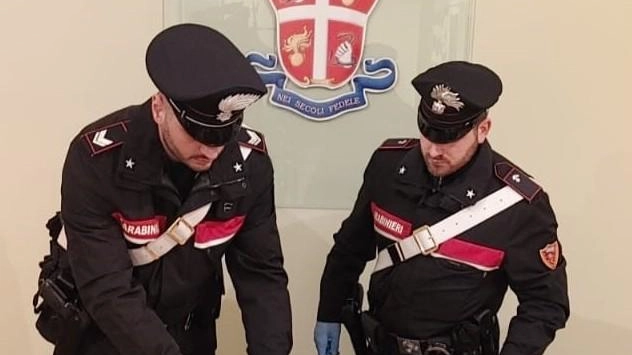 Mezzo chilo di cocaina in casa, 38mila euro in contanti. E ancora, materiale per il confezionamento di dosi. Li hanno... Mezzo chilo di cocaina in casa, 38mila euro in contanti. E ancora, materiale per il confezionamento di dosi. Li hanno...