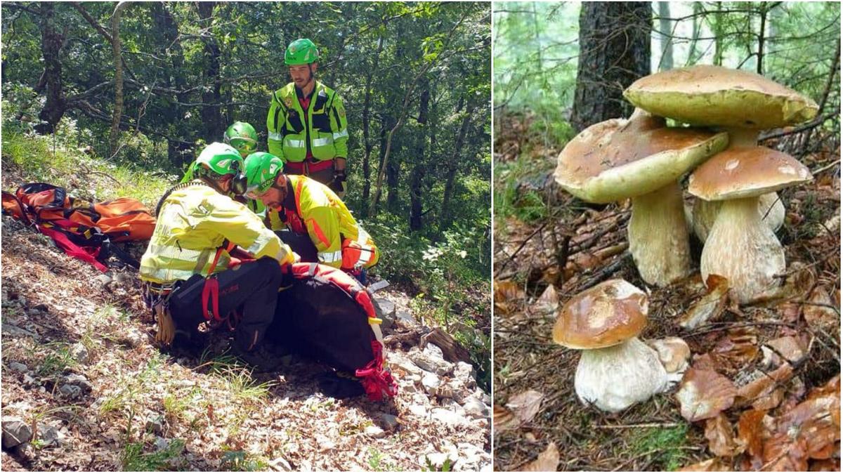 Funghi, che passione. Ma troppi cercatori smarriscono la strada: super lavoro per il Sast Funghi, che passione. Ma troppi cercatori smarriscono la strada: super lavoro per il Sast