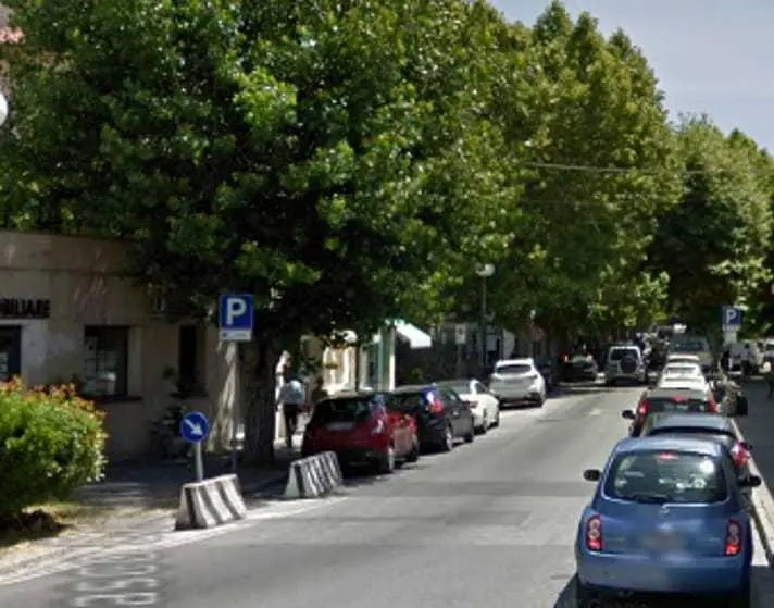 "Cancro colorato". Abbattuti due platani in viale Comaschi