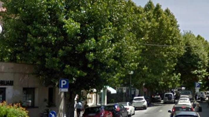 Due platani ad Cascina abbattuti per il "cancro colorato", malattia fungina letale. Decisione presa per evitare rischi e infestazioni, alberi saranno sostituiti.