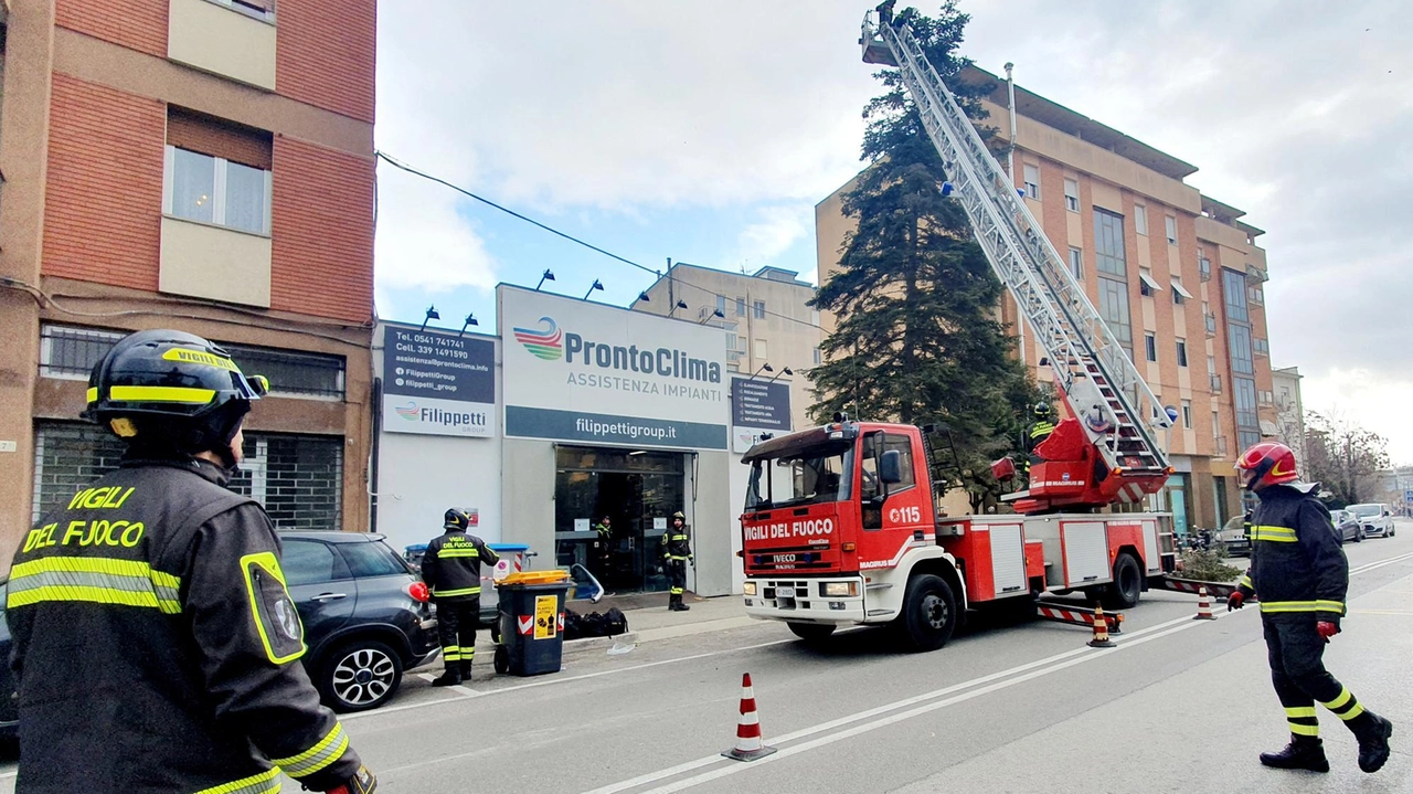 Vigili del fuoco impegnati nella messa in sicurezza di un albero pericolante. A Brugnato il comando spezzino punta a costruire una nuova sede (foto di repertorio Vigili del fuoco impegnati nella messa in sicurezza di un albero pericolante. A Brugnato il comando spezzino punta a costruire una nuova sede (foto di repertorio