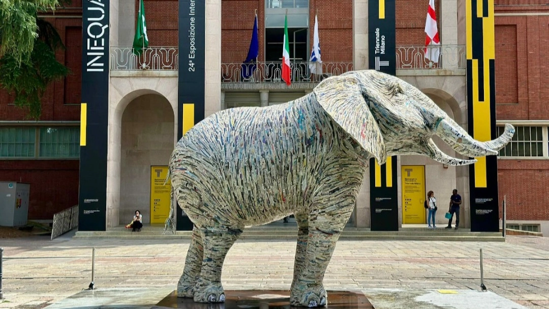 ‘L’elefante della Namibia’ di Jacopo Allegrucci (foto di Cinzia Donati) ‘L’elefante della Namibia’ di Jacopo Allegrucci (foto di Cinzia Donati)