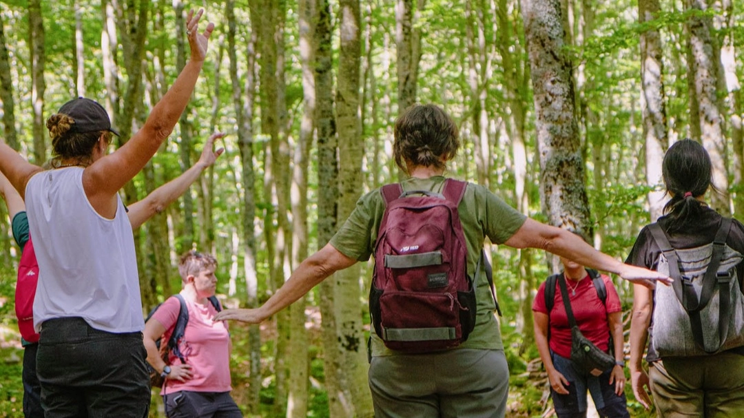 Terapia forestale