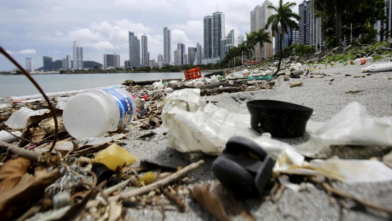 Plastic free onlus, 'Divergenze su questioni centrali' Plastic free onlus, 'Divergenze su questioni centrali'