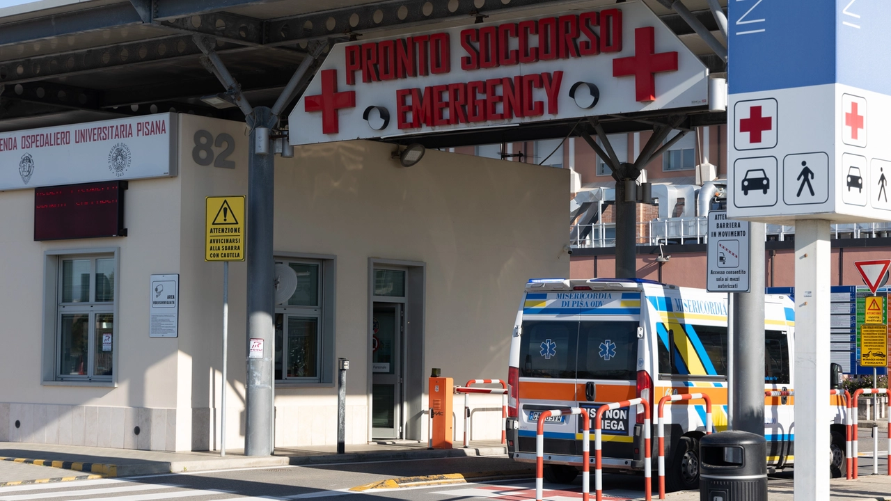 L’ingresso del pronto soccorso di Cisanello Continuano le aggressioni ai sanitari (foto d’archivio) L’ingresso del pronto soccorso di Cisanello Continuano le aggressioni ai sanitari (foto d’archivio)
