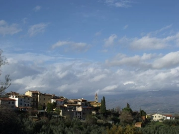 immagine articolo