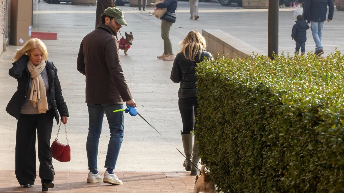 Segnali positivi per il turismo: "Boom di presenze nel ponte"
