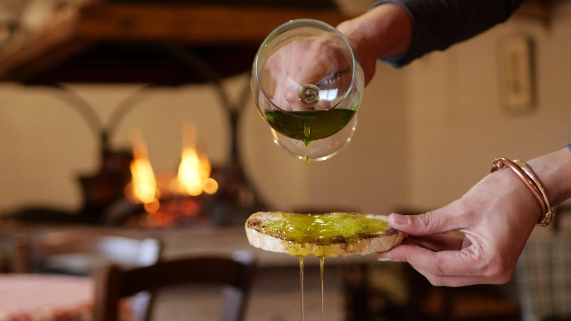 Olio nuovo, in Toscana record di olive nei frantoi Legacoop Olio nuovo, in Toscana record di olive nei frantoi Legacoop
