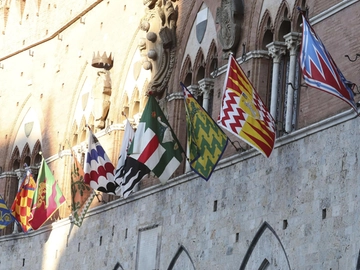 immagine articolo