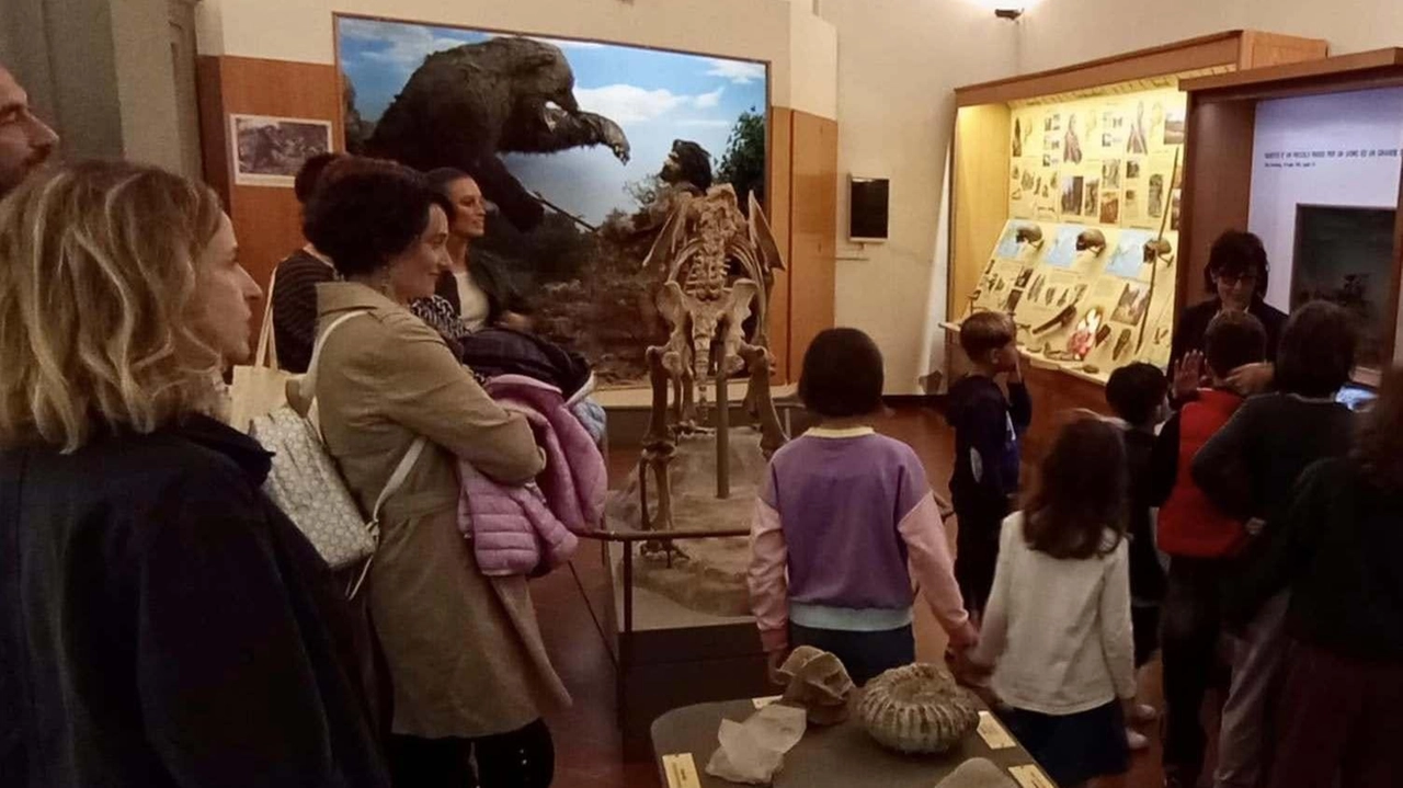 Una visita guidata per bambini al Museo civico di Paleontologia, che domani ospita l’ultimo incontro di “Un sabato nella Preistoria” Una visita guidata per bambini al Museo civico di Paleontologia, che domani ospita l’ultimo incontro di “Un sabato nella Preistoria”