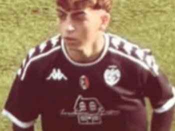 immagine articolo