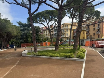 immagine articolo