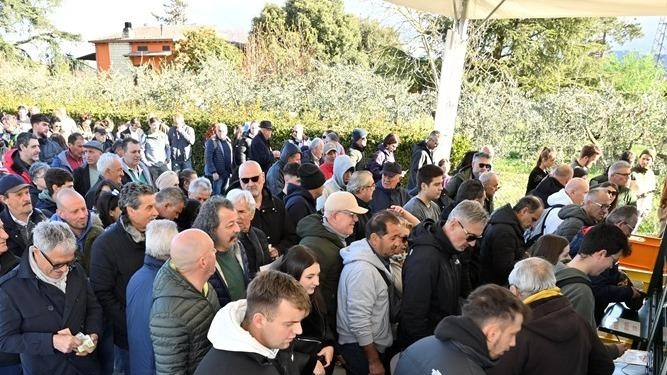 Ha chiuso i battenti l’edizione numero 56 di Agriumbria che, nonostante giorni di cielo grigio, ha richiamato ancora una volta tantissima gente