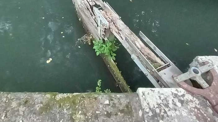 A Pietrasanta, preoccupazione per lo stato deteriorato delle porte vinciane a Fiumetto. Il Consorzio di bonifica interverrà per la sistemazione urgente. A Pietrasanta, preoccupazione per lo stato deteriorato delle porte vinciane a Fiumetto. Il Consorzio di bonifica interverrà per la sistemazione urgente.