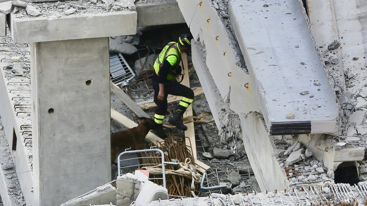 Il crollo nel cantiere di via Mariti, avvenuto il 9 febbraio 2024