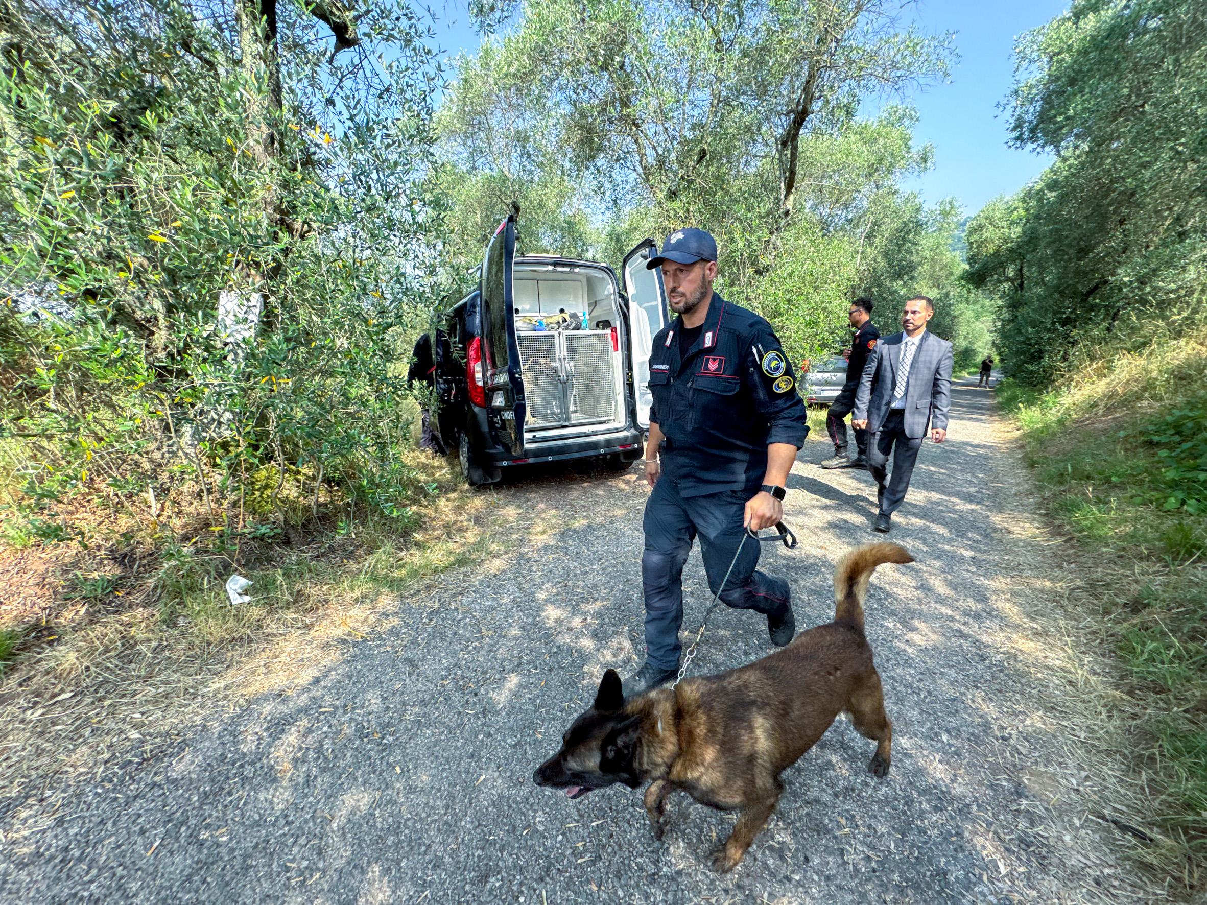 killer delle escort dagli scavi nei terreni di frumuzache spuntano ossa e un paio di slip