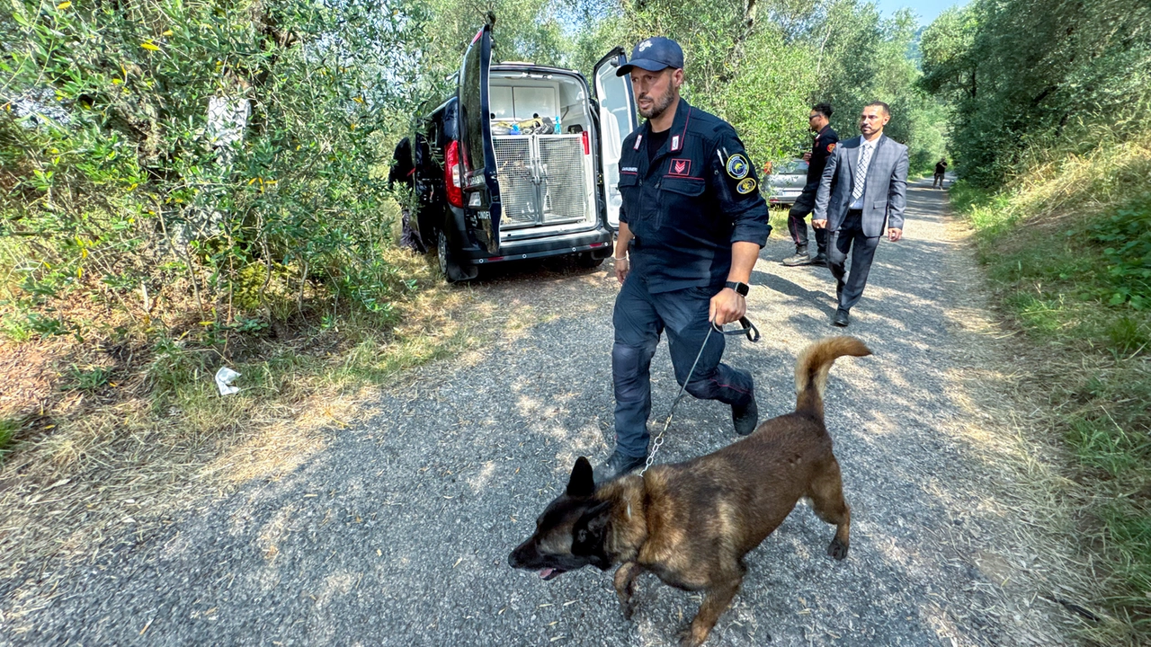 Unità cinofile e Vigili del fuoco al casolare di Via delle Panteraie per cercare eventuali nuove vittime di Vasile Frumuzache
