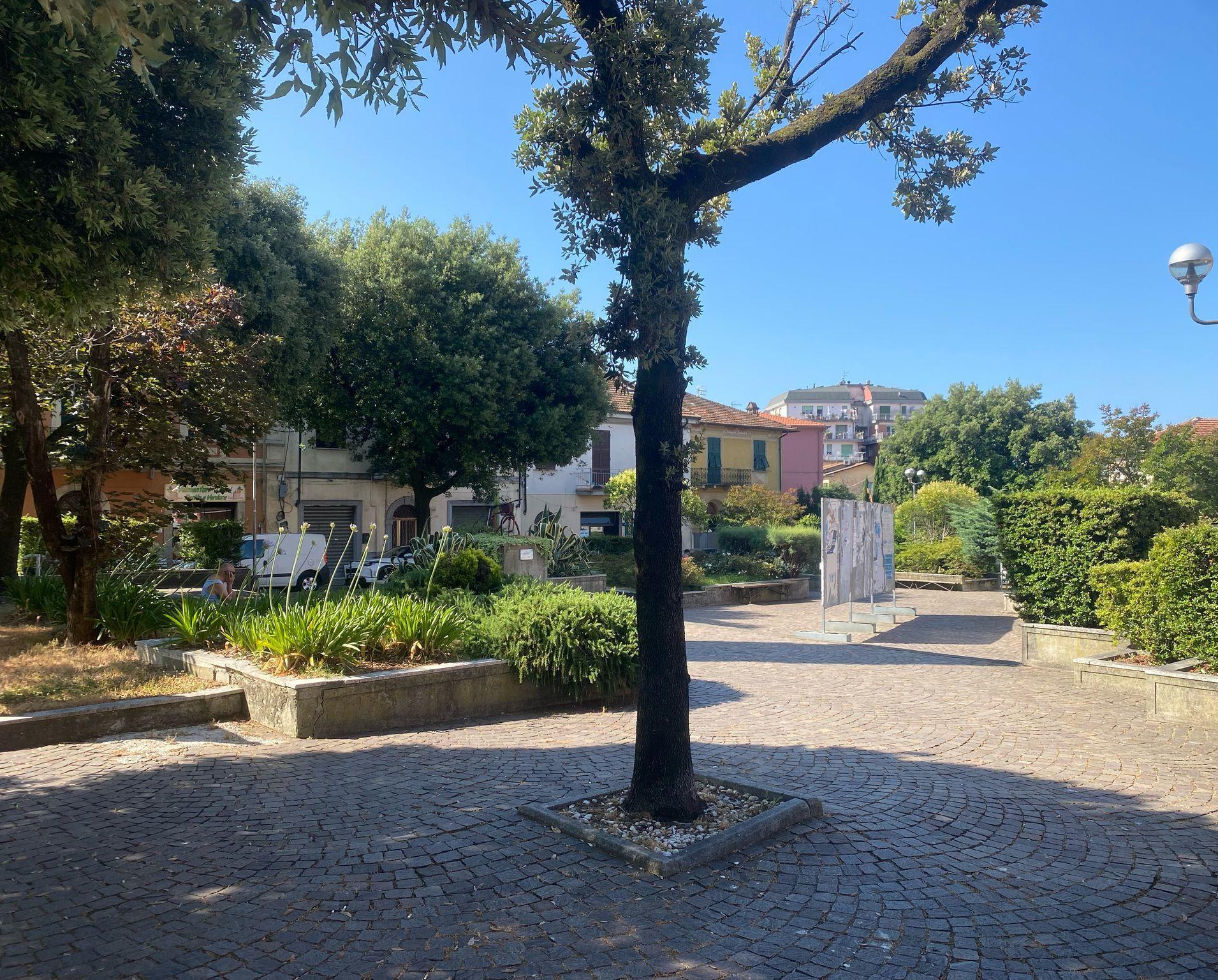 Il progetto di piazza Garibaldi: "Perplessità e suggerimenti. La giunta ascolti i cittadini" Il progetto di piazza Garibaldi: "Perplessità e suggerimenti. La giunta ascolti i cittadini"
