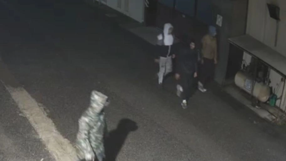 Un’immagine ripresa dalle telecamere di videosorveglianza nella zona di Badia a Elmi, che ha riacceso il timore di furti Un’immagine ripresa dalle telecamere di videosorveglianza nella zona di Badia a Elmi, che ha riacceso il timore di furti