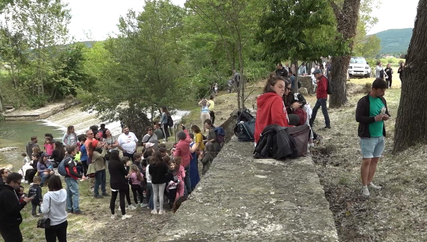 plastica al bando dal chiassa parte l appello adottiamo un acchiapparifiuti per salvare il nostro fiume