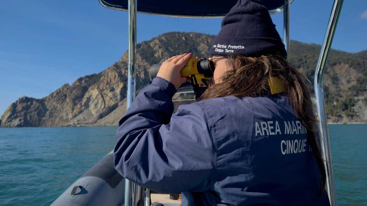 Un addetto al controllo dell’Area marina protetta del Parco nazionale delle Cinque terre, impegnato nel monitoraggio della costa foto d’archivio