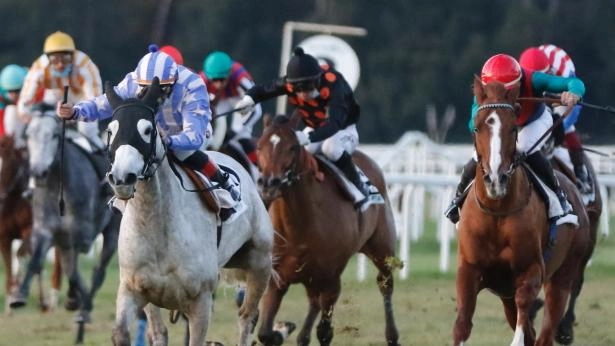 Conclusa la stagione di galoppo a San Rossore con il 19° premio Corpo Guardie di Città