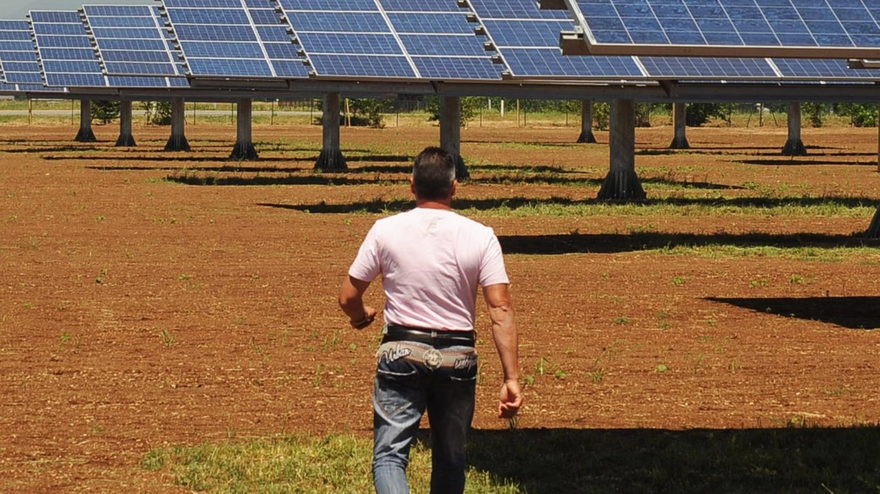 Un impianto fotovoltaico (archivio) Un impianto fotovoltaico (archivio)